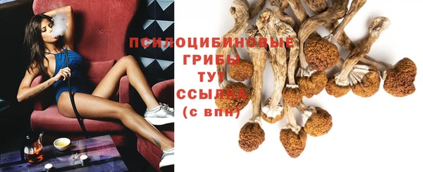ECSTASY Алексин