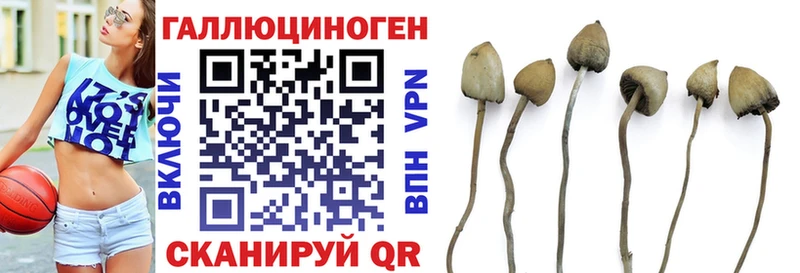 Галлюциногенные грибы мухоморы  Черноголовка 