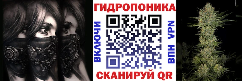 Канабис Ganja Черноголовка