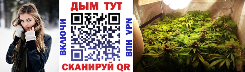 Каннабис семена  Черноголовка 